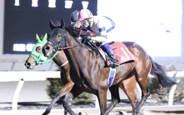 【高知・土佐有楽】ヤマノアシオトが準重賞初制覇…赤岡「展開が向いてくれました」