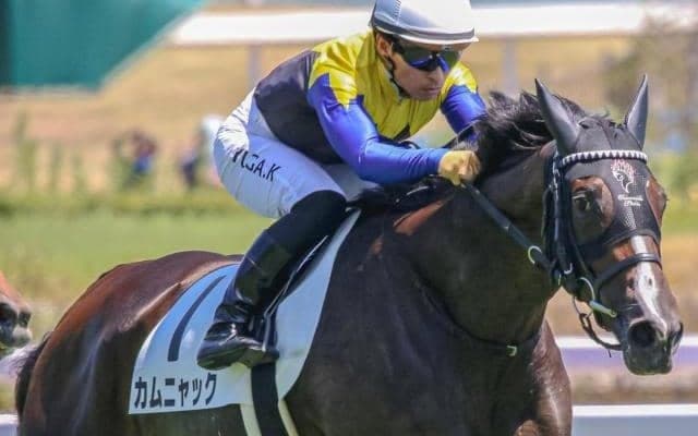 名牝ダンスパートナーのひ孫 エルフィンSで大舞台に弾み付ける勝利なるか
