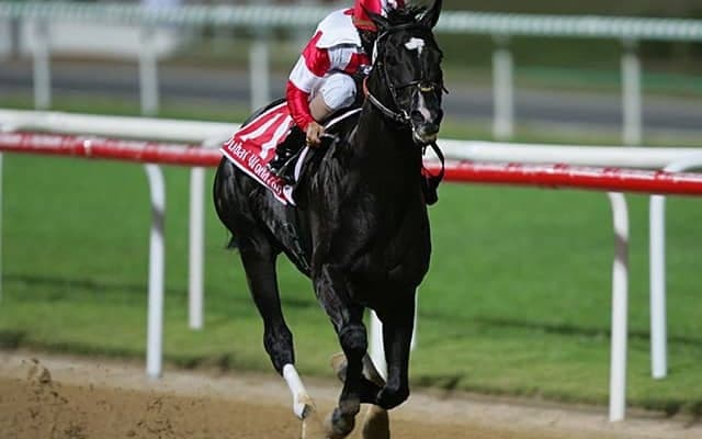 ロージズインメイが種牡馬引退 主な産駒にJpnI馬ドリームバレンチノなど