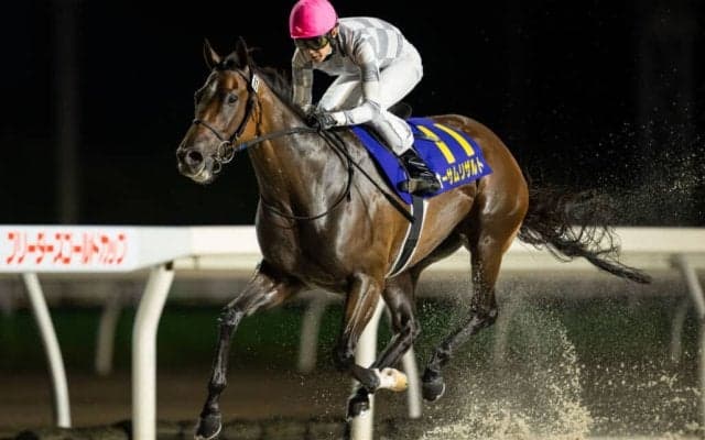 【クイーン賞】武豊騎乗の無敗馬オーサムリザルトは7枠7番へ