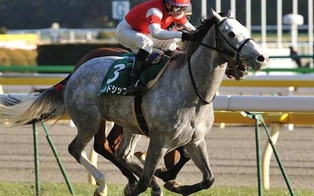 ゴールドシップがパイオニア!? 共同通信杯から直行で皐月賞を制した馬たち