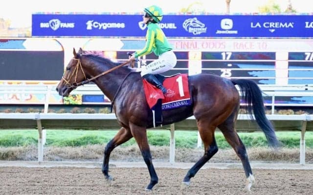 【共同通信杯登録馬】サトノカルナバルなど11頭