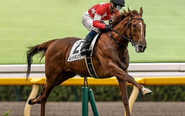 【共同通信杯想定騎手】レッドキングリーは北村宏司騎手、ネブラディスクは武豊騎手