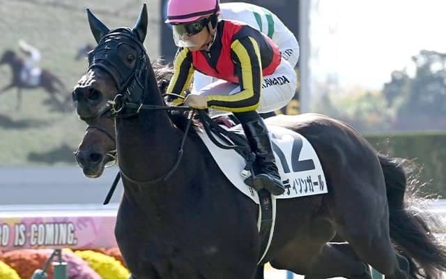 【クイーンC想定騎手】マディソンガールは川田将雅騎手、ショウナンザナドゥは池添謙一騎手