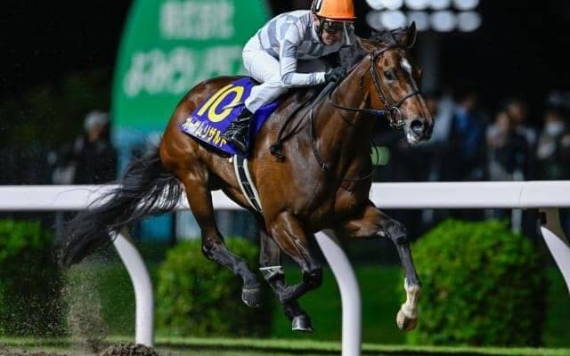 【船橋・クイーン賞注目馬】オーサムリザルトら好メンバー集う 今年のダート牝馬路線を占う一戦