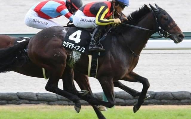 父レイデオロに初タイトルを届けるか こうやまき賞快勝の期待馬が共同通信杯に参戦