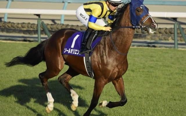 2年前の皐月賞馬が京都記念へ 川田騎手と再コンビで復活Vなるか