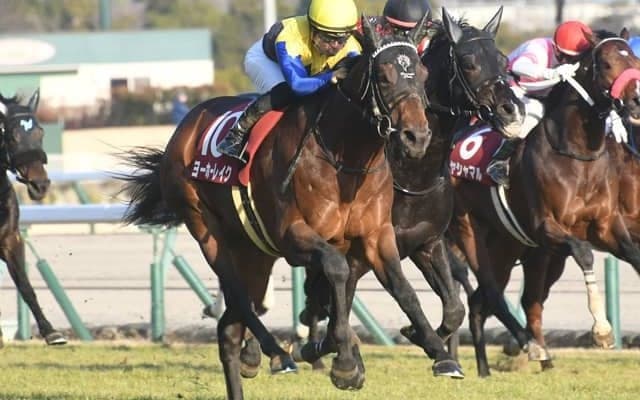 【AI予想・京都記念】前走のレース格や所属に明確な傾向あり！ 人工知能がGI馬よりも高い評価を与えた本命候補とは