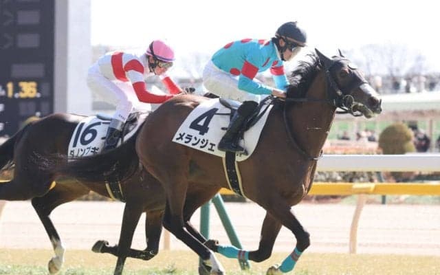 【新馬/東京5R】スワーヴリチャード産駒 メランジェがデビューV