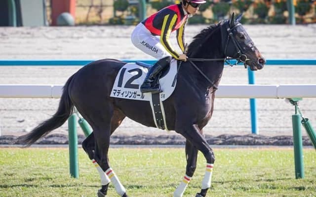 【クイーンC】ノーザンファームの10連覇なるか 三冠牝馬の半妹など精鋭4頭を送り込む