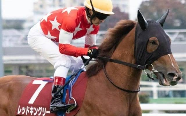 サートゥルナーリア産駒重賞初Vへ 東スポ杯2歳S3着の注目馬が共同通信杯に参戦