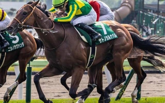 世代最初のJRA重賞V挙げた快足馬 今後を占う重要な一戦・共同通信杯にR.キング騎手と挑む