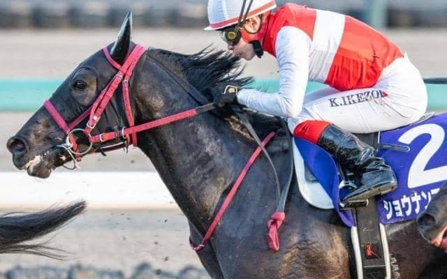 イクイノックスのいとこが飛躍の第一歩へ 2戦2勝の東京で共同通信杯V狙う