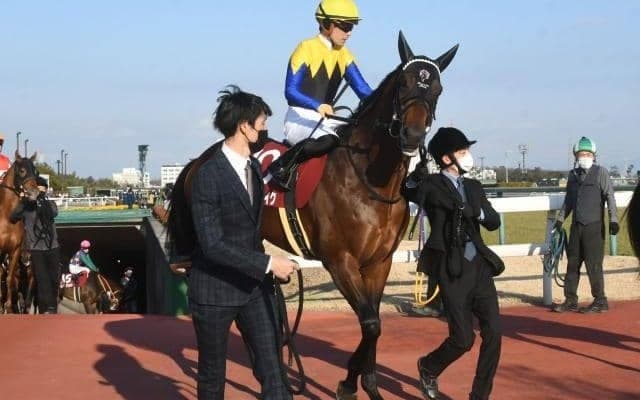 【京都記念予想】近年は牝馬や関東馬が不振 AIが推奨したのは関西の実力馬