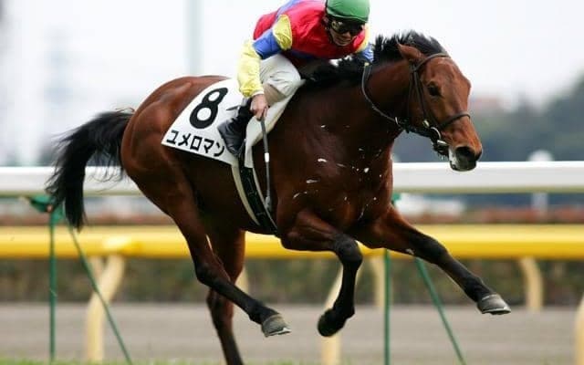 快挙からきょうで20年 高校生が生産した馬が中央競馬で初勝利した日