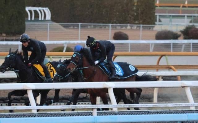 ミッキーヌチバナ、かきつばた記念追い切り速報/栗東トレセンニュース