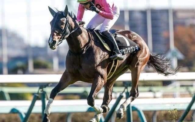 【小倉JS出走馬・騎手確定】アサクサゲンキ＆小牧加矢太騎手、スマイルスルー＆高田潤騎手など14頭