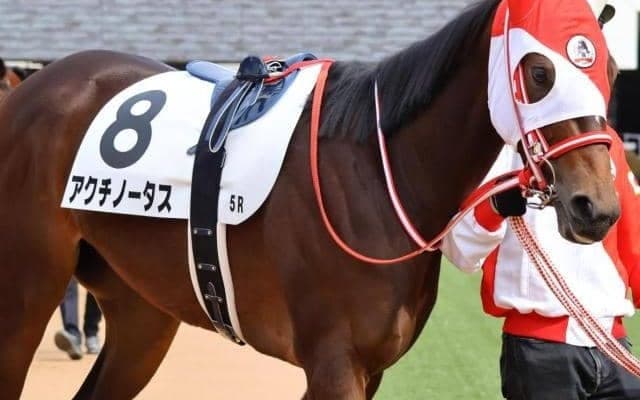 矢作厩舎ゆかりの良血馬 春の大舞台目指して負けられない2戦目