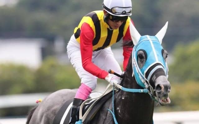 田口貫太騎手がJRA重賞初Vへ 京都記念で伏兵と一発狙う