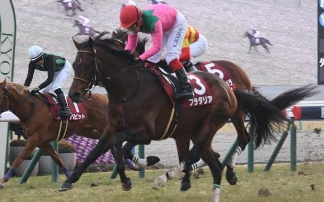 ディープインパクト産駒16年連続JRA重賞制覇へ 京都記念に実力馬2頭が参戦