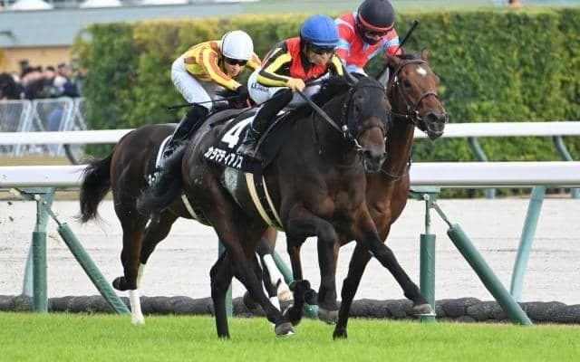 【共同通信杯枠順確定】カラマティアノスは4枠4番、ネブラディスクは5枠5番