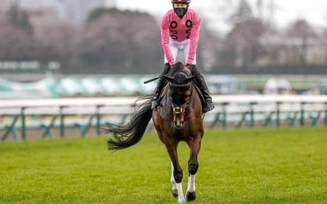 【小倉JS枠順確定】アサクサゲンキは1枠1番、スマイルスルーは5枠8番