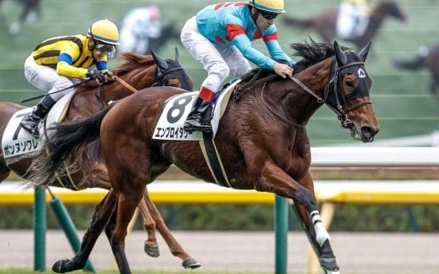 【クイーンC枠順確定】エンブロイダリーは5枠7番、マディソンガールは7枠11番