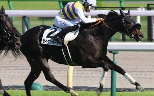 雨予報の京都記念 道悪で浮上する6歳牡馬に注目！