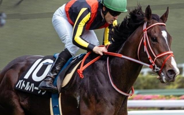 ラヴズオンリーユー、リアルスティールらの半弟 OP入り目指し雲雀Sに参戦