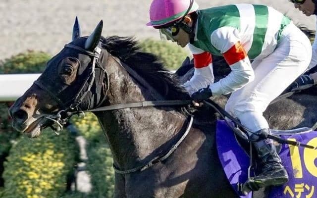 【ダイヤモンドS想定馬・騎手】ヘデントール、ワープスピードなど19頭