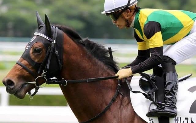 3.6億円ディープインパクト産駒 キャリア21戦目での重賞初挑戦初制覇なるか