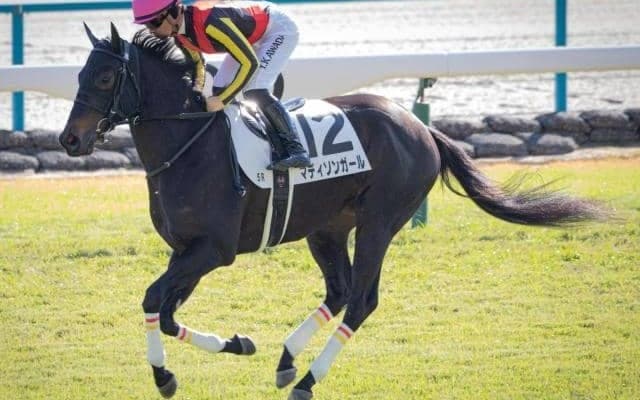 【今日の注目ポイント】東京で3歳牝馬のクイーンCと小倉で小倉ジャンプS