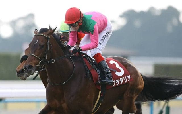 【競馬予想】京都記念はチェルヴィニアで本当にテッパンか？　渋化馬場で浮上する伏兵に要注意