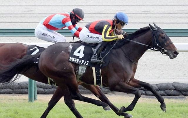 【競馬予想】共同通信杯で注目は「２、３歳戦に強い牝系」　牡馬クラシックへの足掛かりをつかむのは？