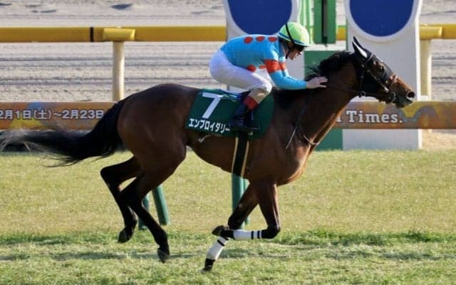 【クイーンC】エンブロイダリーが重賞初制覇…マディソンガールは伸び切れず