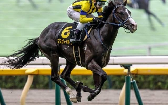 【共同通信杯予想】前走4角での位置取りに注意！ ペースが遅くなる最たる理由とは