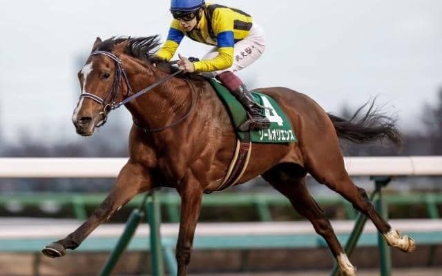 【京都記念予想】高回収率を残す関西馬は人気薄でも期待大！ 劣勢の関東馬は前走での人気が運命を左右する