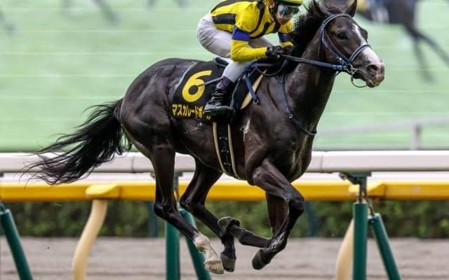 【共同通信杯前日オッズ】マスカレードボールが3.9倍で1番人気