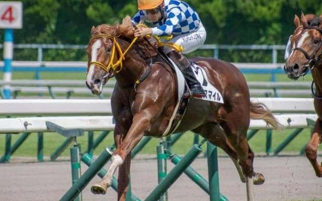 共同通信杯はスロー必至 ワンモアスマイルの逃げ粘りがないか