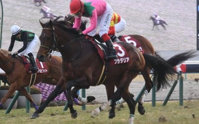 【AI予想・京都記念】京都芝2200mの実績は十分！ 得意の舞台でGI馬を迎え撃つ人工知能の本命馬とは