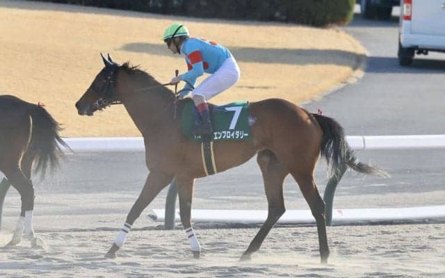 【クイーンC】ルメール「上のレベルにいける」エンブロイダリーが重賞初制覇