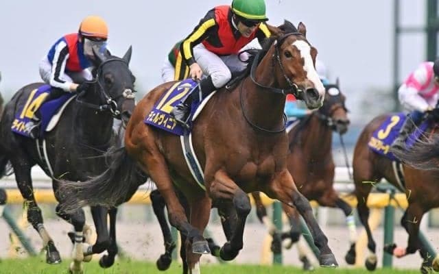 【今日の注目ポイント】チェルヴィニア始動の京都記念と登竜門・共同通信杯