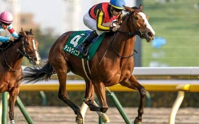 【京都記念予想】国内外の大舞台を視界に入れる実績馬が集結