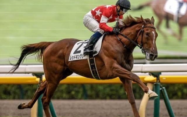 【共同通信杯予想】クラシック直結の出世レース 昨年勝ち馬ジャスティンミラノは無敗で皐月賞馬に