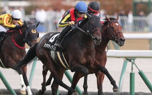 【競馬予想】１番人気が勝てない共同通信杯　代わって浮上するのは過去の激走パターンにハマる３頭