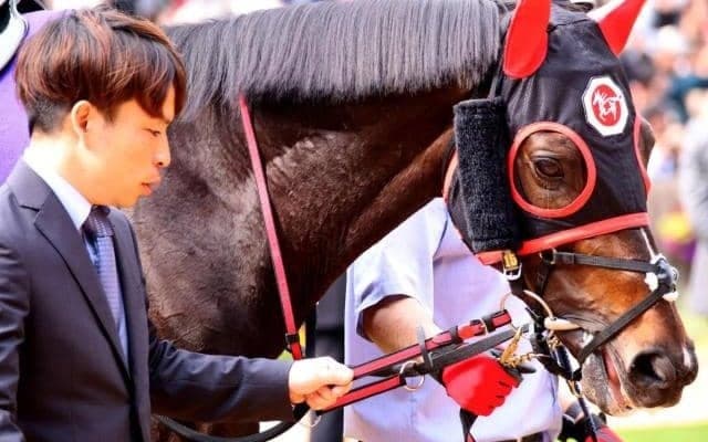 23年の天皇賞(春)7着馬 自己条件で1年10カ月ぶりの実戦