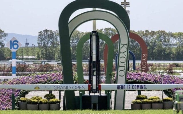 【京都記念】ヨーホーレイクが重賞3勝目…チェルヴィニアは直線失速