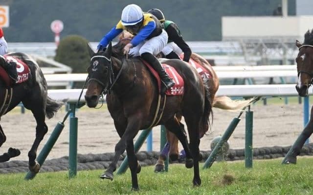 【JRA・WIN5】本日のWIN5は的中30票、配当2342万430円