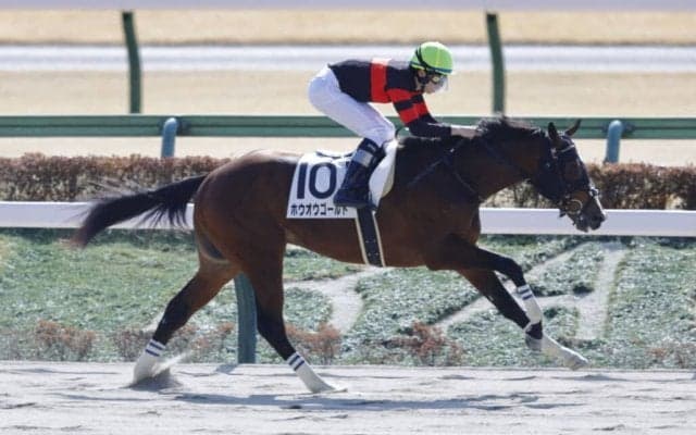 【新馬/東京3R】ホウオウゴールドが5馬身差の圧勝