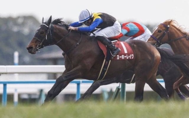 【京都記念】岩田望「馬具の工夫で折り合いもついた」古豪ヨーホーレイクが重賞3勝目